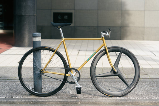 Stale Diversity ~Neo-Vintage Bike Build~