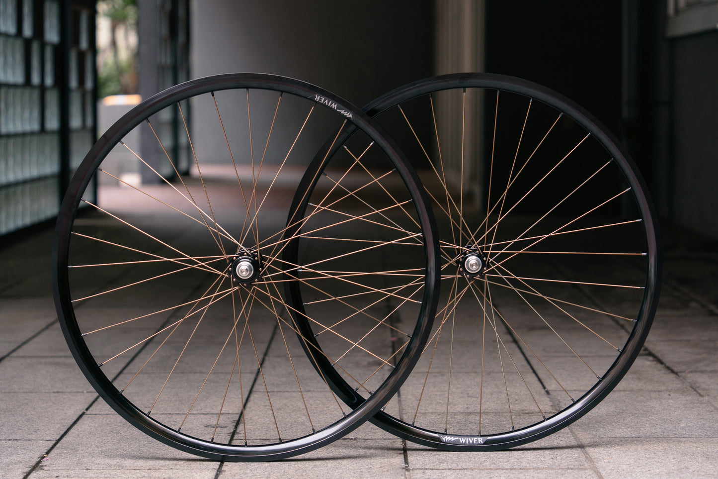 BROTURES WIVER x RAKETA x HOSHI Peregrine Spoke