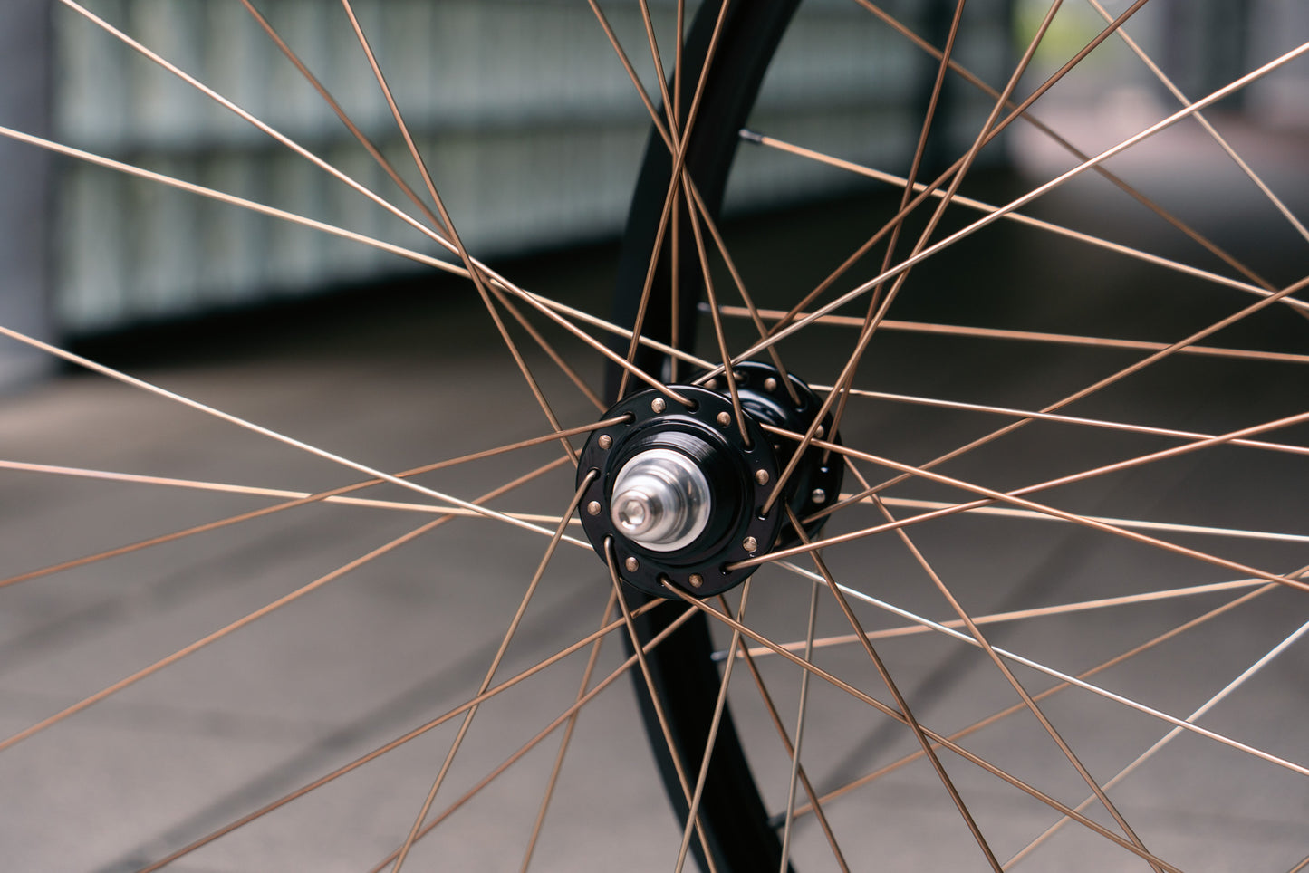 BROTURES WIVER x RAKETA x HOSHI Peregrine Spoke