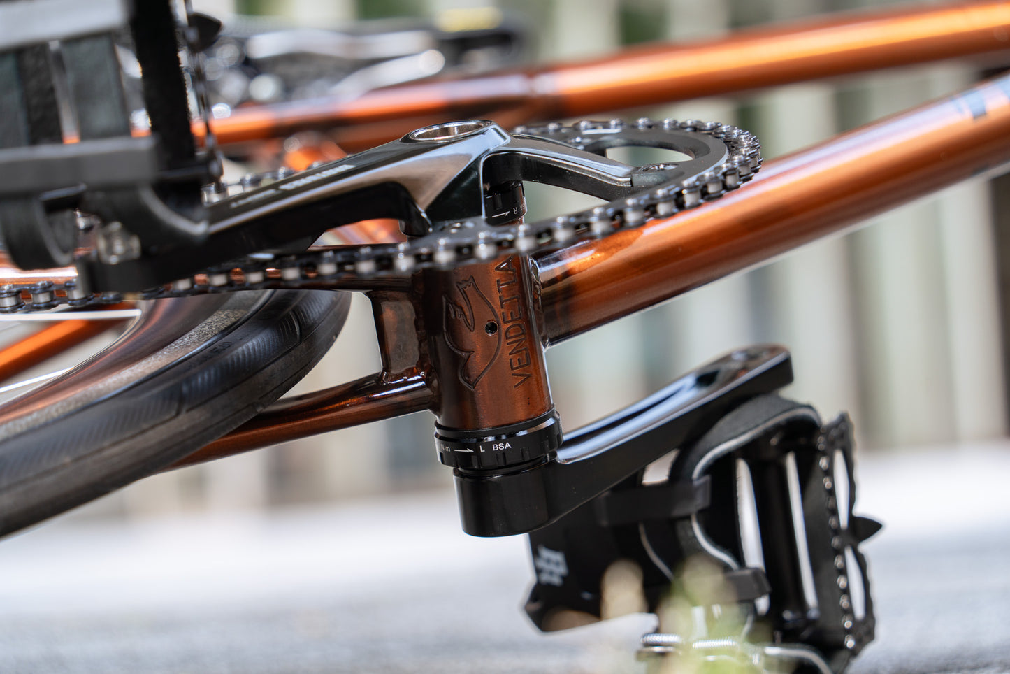 VENDETTA Triple T BROTURES Edition Frame Set