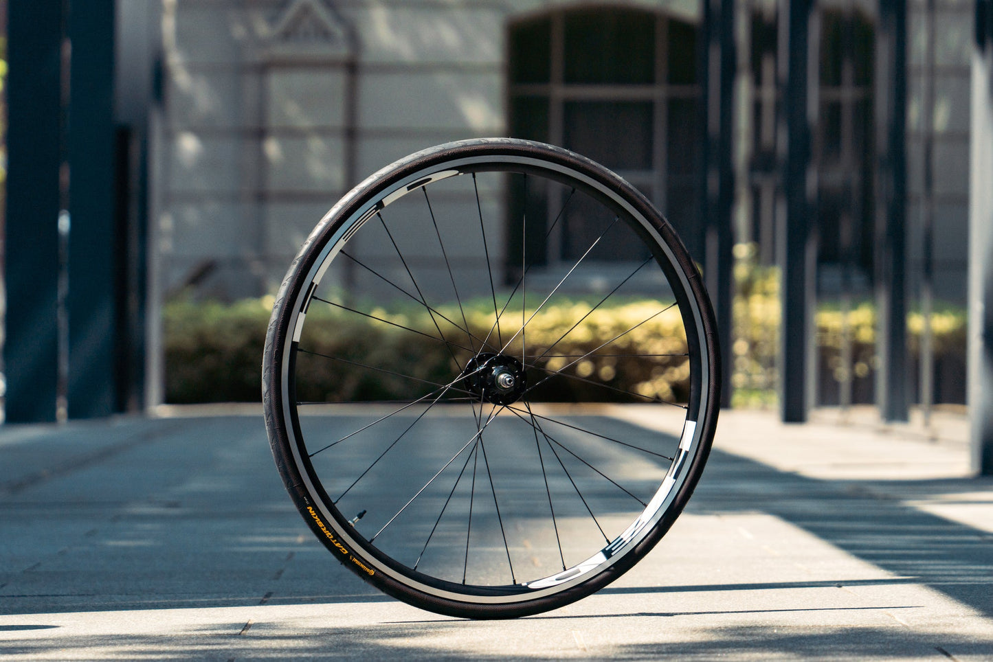 HED. x BROTURES Exclusive Track Wheel Set Black